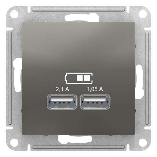 Розетка 2xUSB Schneider Electric ATLASDESIGN, скрытый монтаж, сталь, ATN000933